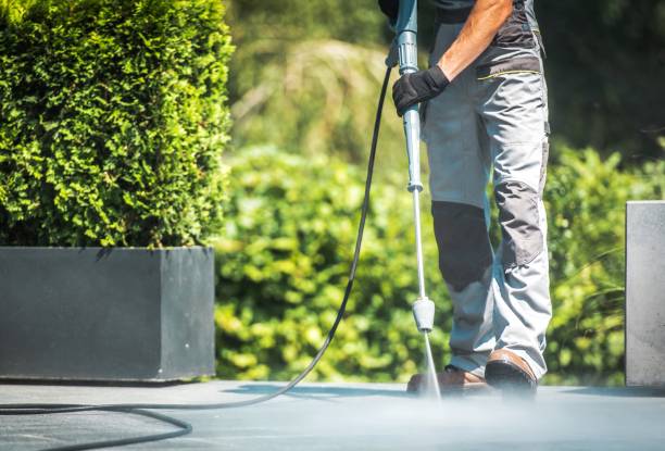 Best Fence Cleaning  in Schertz, TX