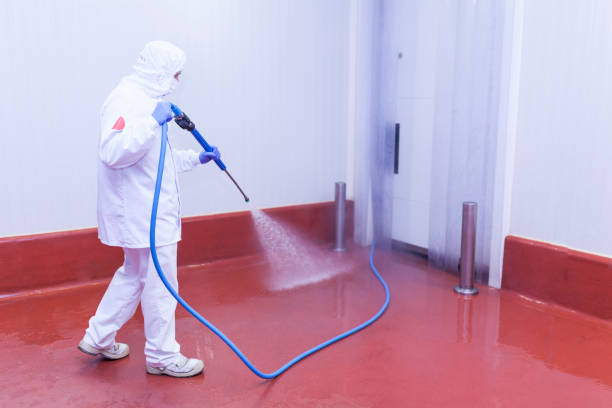Spring Cleaning in Schertz, TX